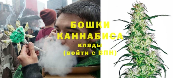 шишки Приозерск