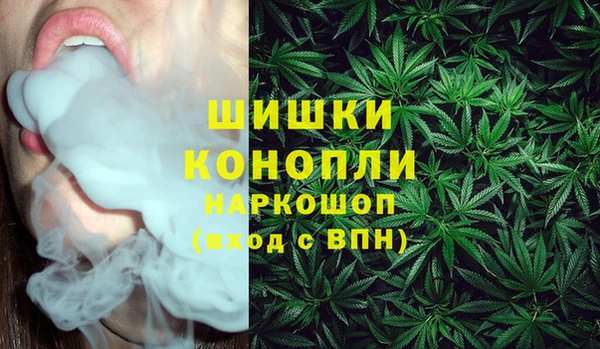 молекула духа Протвино