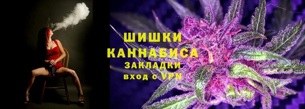 шишки Приозерск