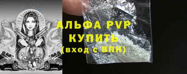 шишки Приозерск