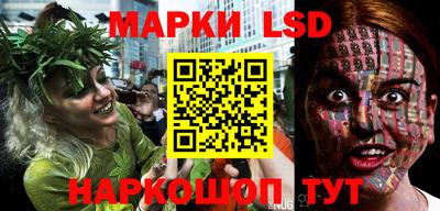 гидра Будённовск