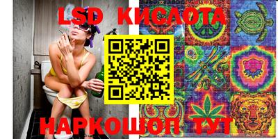 гидра Будённовск