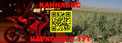 гидра Будённовск