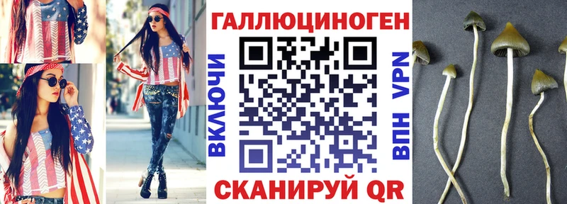 Галлюциногенные грибы Magic Shrooms  где купить наркоту  Губаха 