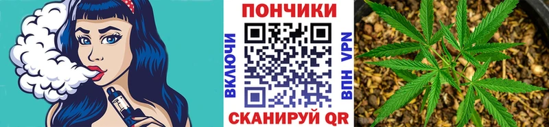 Марихуана OG Kush  кракен   Губаха 